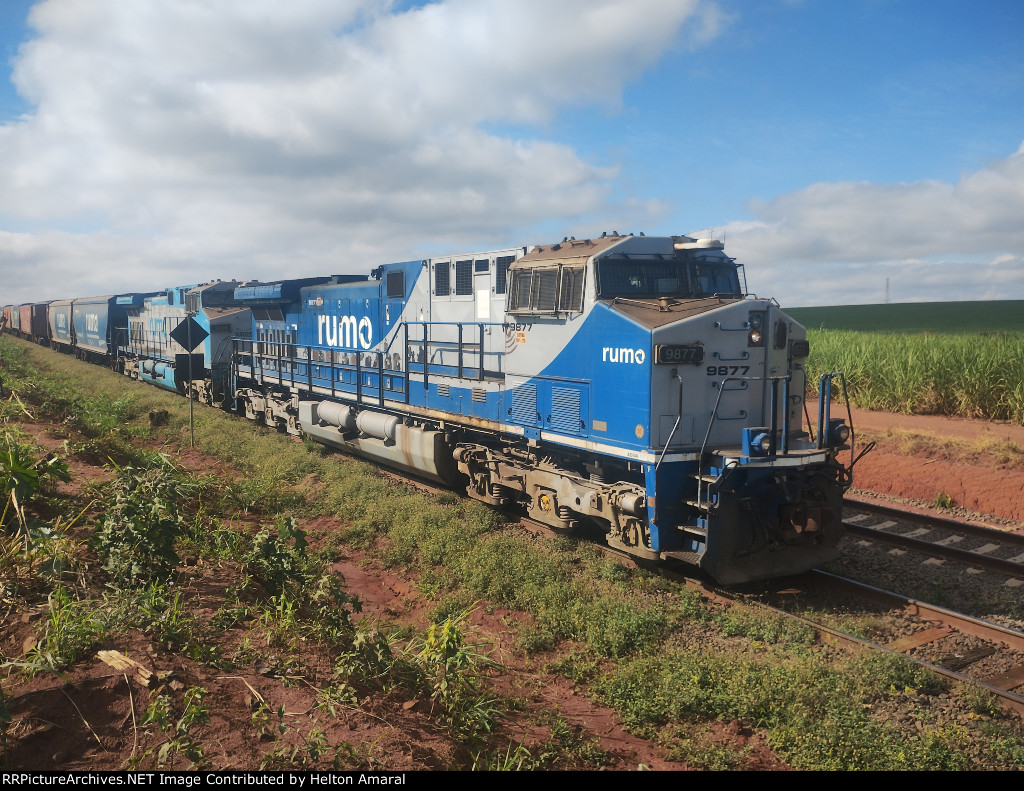 RUMO 9877